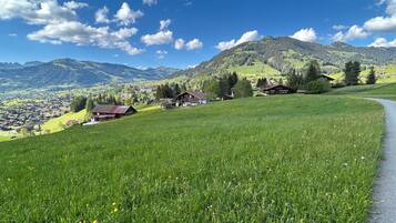 A rural landscape with a winding road, green fields, and a small village with traditional houses.