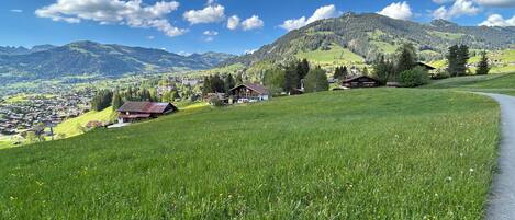 Un paisaje rural con un camino sinuoso, campos verdes y un pequeño pueblo con casas tradicionales.