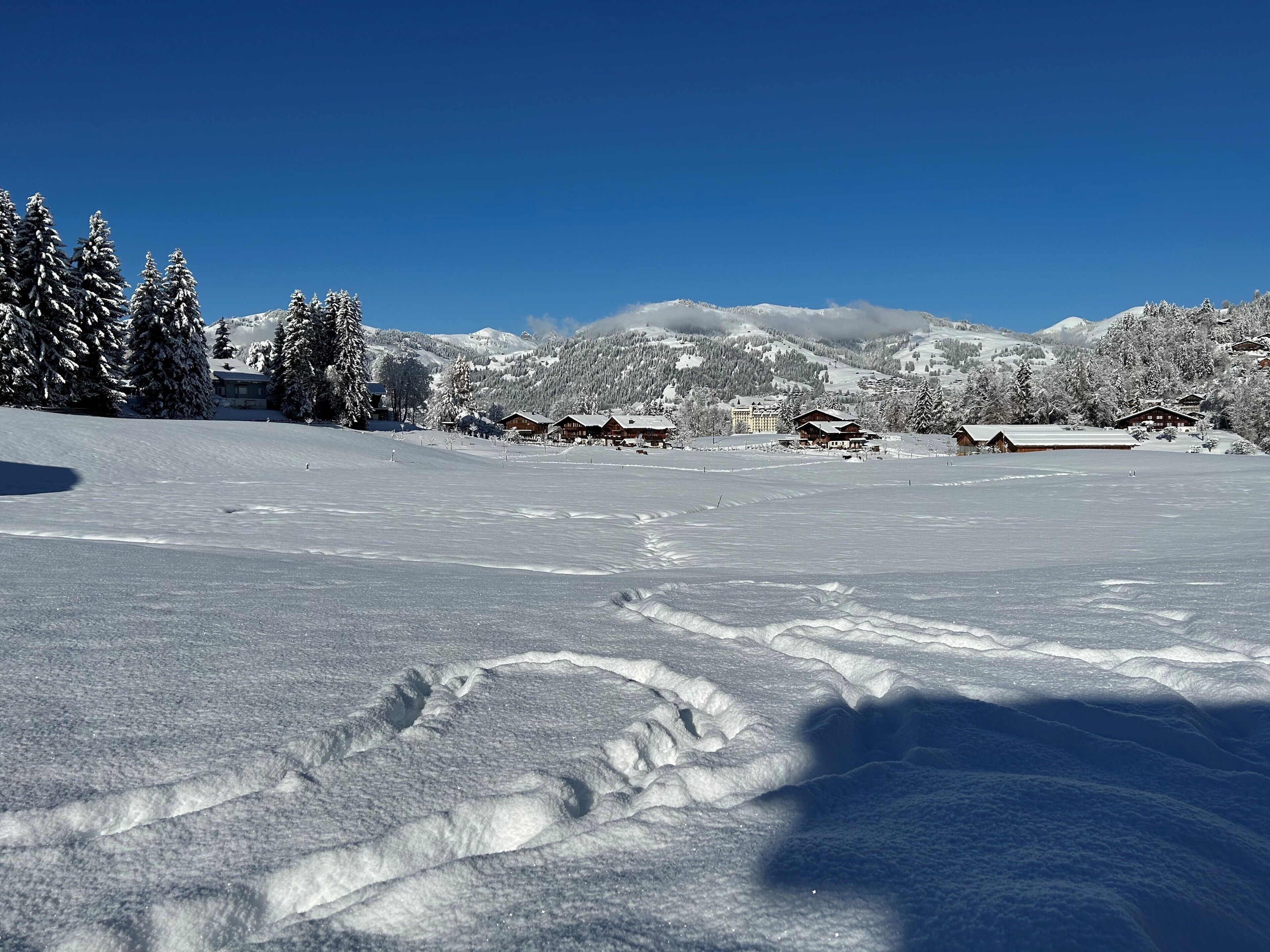 Un paysage enneigé avec des bâtiments en bois, probablement une station de ski, et un ciel bleu dégagé.