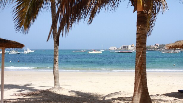 Private beach, sun loungers, beach umbrellas, windsurfing - Hotel Ngor Diarama (Dakar)