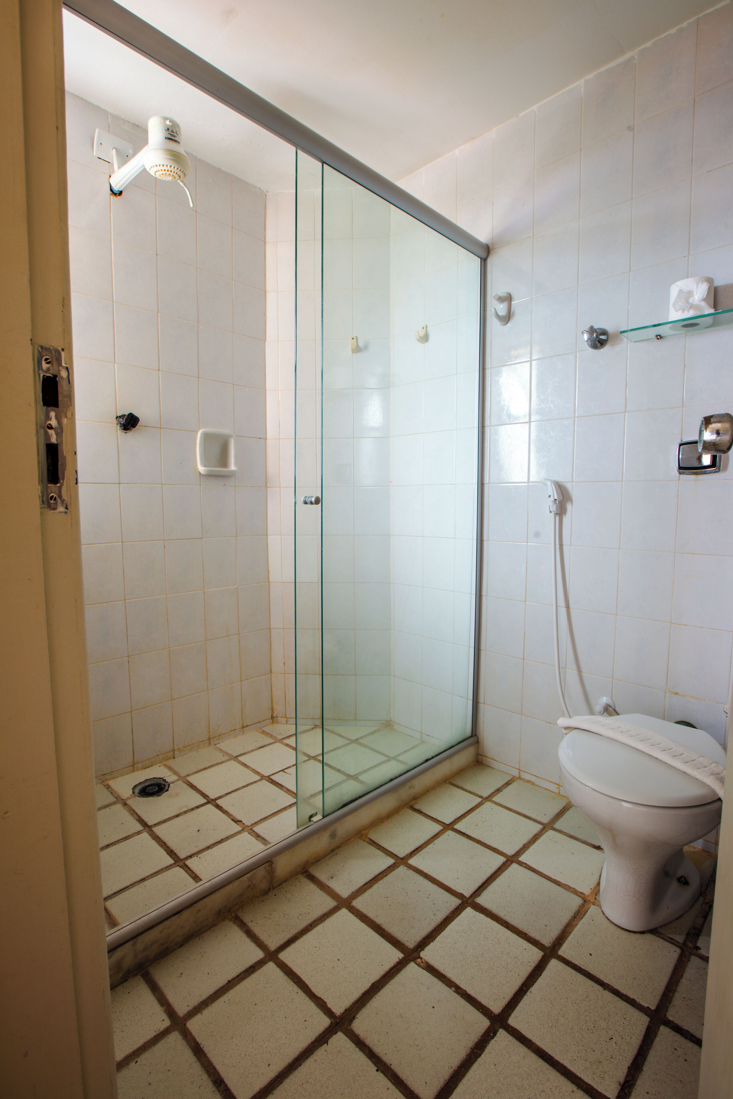 A bathroom with a glass shower enclosure, a toilet, and a glass shelf.