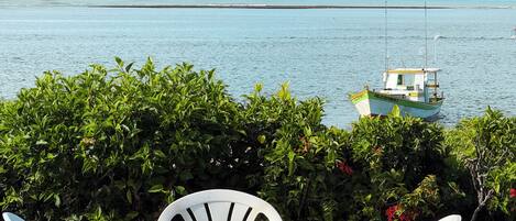 A view of a boat named 'Feliz Portos' on calm waters, with lush greenery in the foreground and a clear sky.