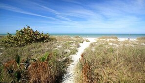 Condo, 2 Bedrooms, Balcony, Ocean View (Hamilton House 206) | Beach | On the beach, sun-loungers, beach towels