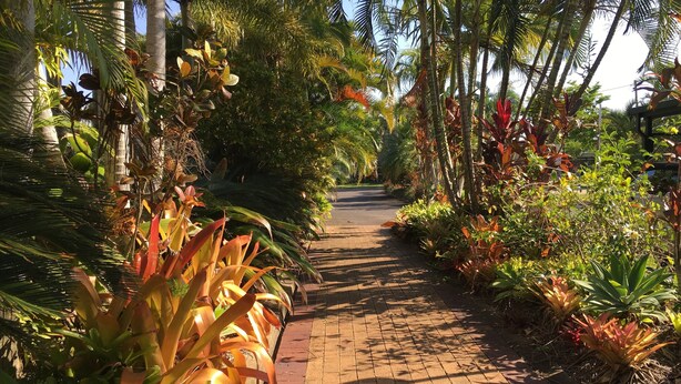Jardín