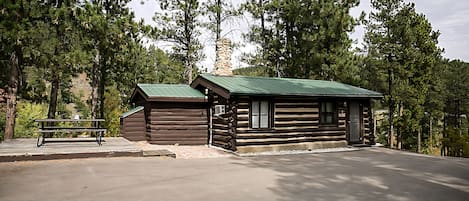 Una cabaña de troncos con techo verde, chimenea de piedra y una mesa de picnic cerca.