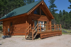 Cabin 23 | Terrace/patio