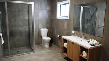 Deluxe Room | Bathroom | Shower, free toiletries, hair dryer, towels