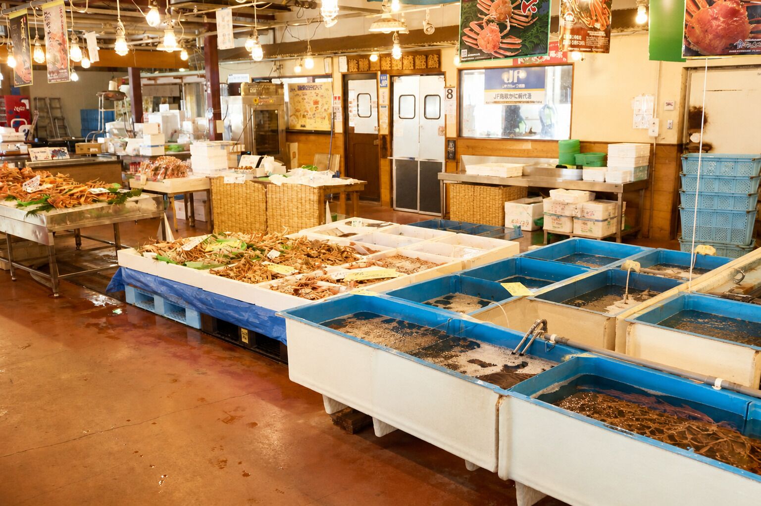 A seafood market with various seafood displayed in trays and bins.