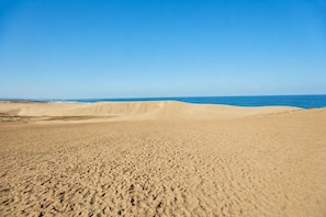 A vast sandy beach with gentle dunes and a clear blue sky. - Drop Inn TOTTORI - Hostel (Tottori)