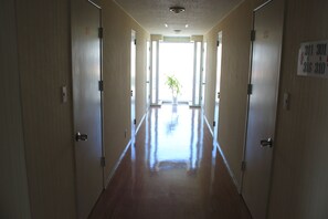 A hallway with doors numbered 315, 316, and 317, leading to a bright room with a plant. - Business Hotel Okuro (Hakodate)