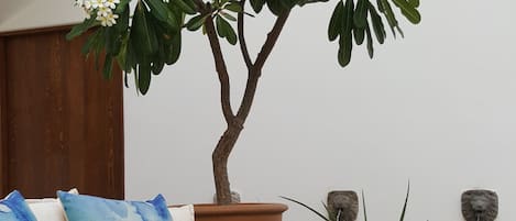 A wicker sofa with cushions, a potted tree, and a stone wall with a water feature.