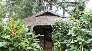 星評価なしの画像、2 / 36、ボタン