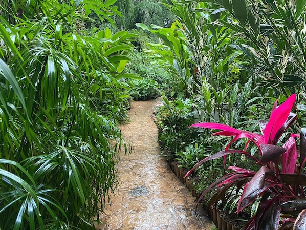 Áreas de la propiedad