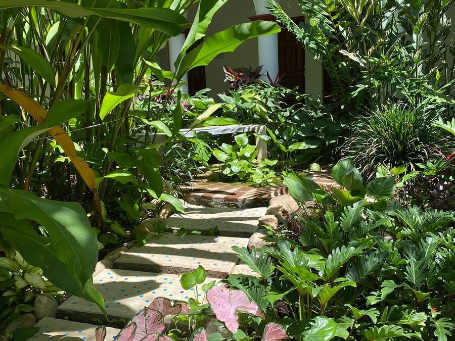 Un sentier de jardin menant à un bâtiment orné d’arches, entouré d’une végétation luxuriante et de diverses plantes.