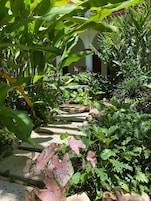 A garden pathway leading to a building with arches, surrounded by lush greenery and various plants.