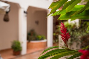Hallway - Posada Kin (Palenque)