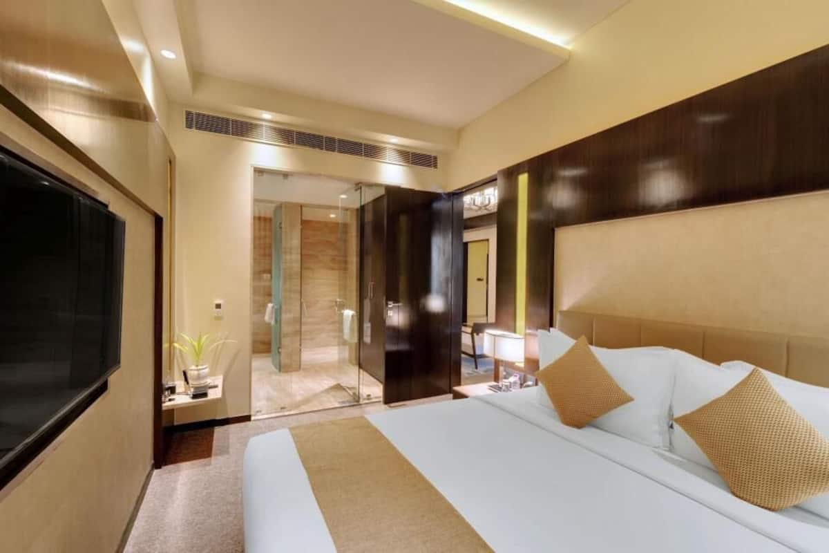 A hotel room with a large bed, a TV, a bathroom with a glass door, and a small table with a plant.