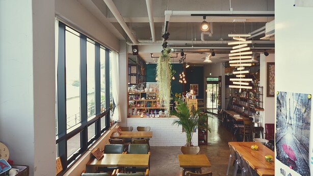 Een café met grote ramen, houten tafels en hangende planten.