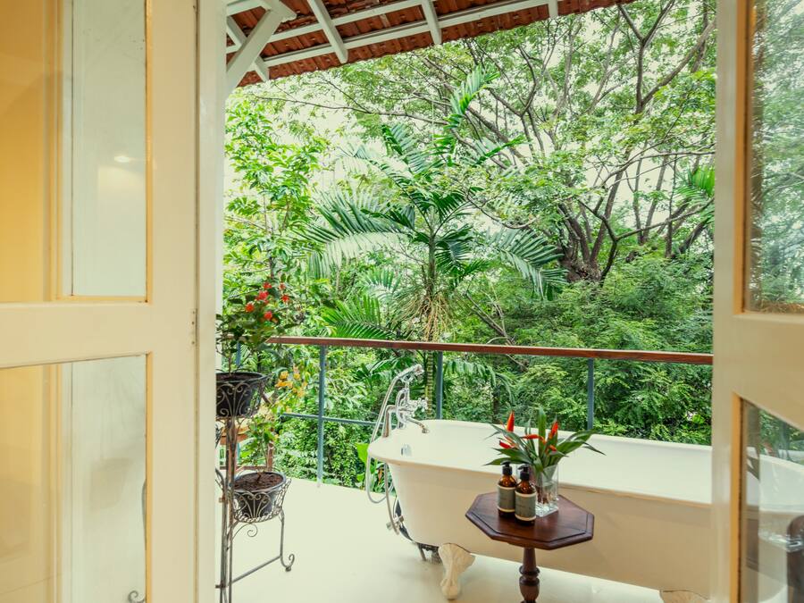 Junior-sviitti, 1 suuri parisänky, näköala puutarhaan (Dumas) | Kylpyhuone | Ilmaiset hygieniatuotteet, hiustenkuivaaja, kylpytakit, tohvelit