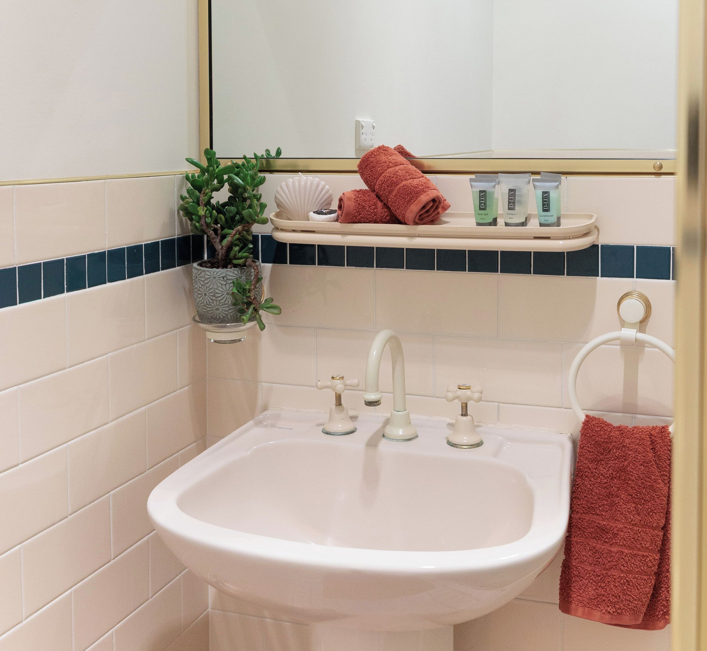 A bathroom with a sink, two faucets, a mirror, a shelf with toiletries, and a potted plant.
