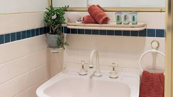 A bathroom with a sink, two faucets, a mirror, a shelf with toiletries, and a potted plant.