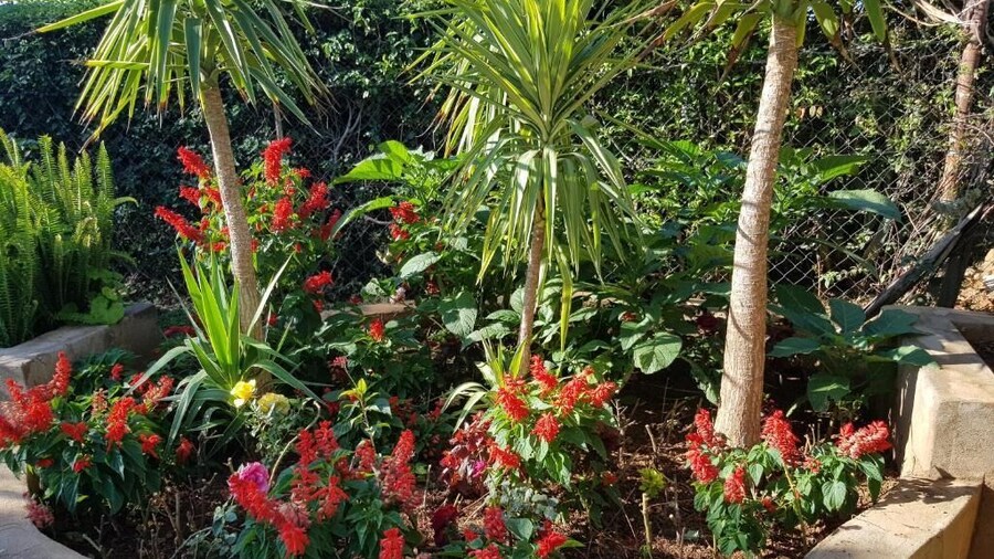 Ebuhleni Guest Lodge