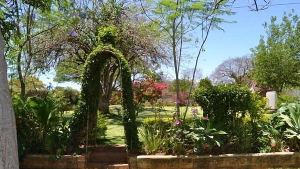 Un jardín con diversas plantas y un sendero de piedra.