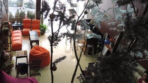 Lobby - Ha Long Happy Hostel - Adults Only (Bai Chay)