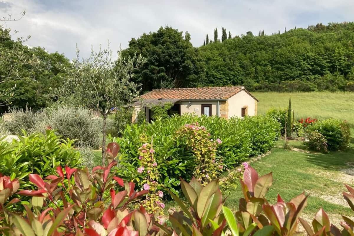 Comfort Studio Suite, 1 Bedroom, Terrace, Hill View