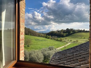 Classic Duplex, 2 Bedrooms, Private Bathroom, Hill View | 1 bedroom, Egyptian cotton sheets, premium bedding, down comforters - Agriturismo Podere La Paolina (Torrita di Siena)