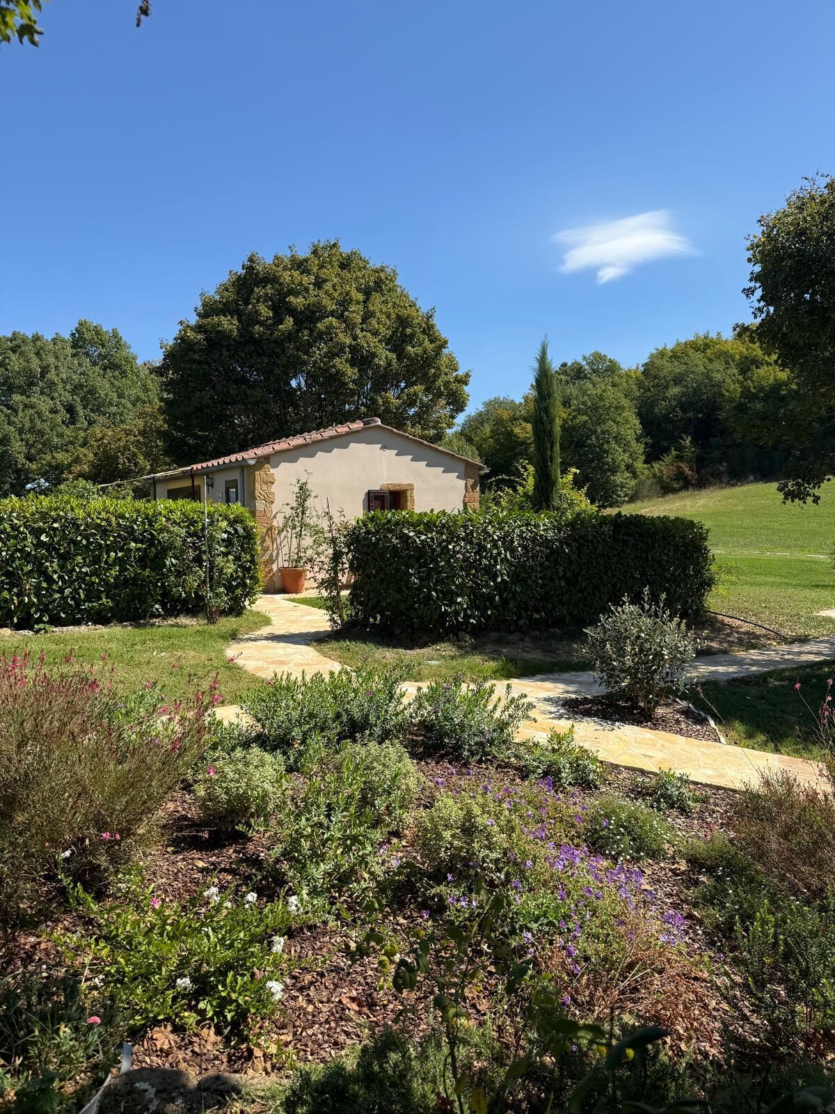 舒適開放式套房, 1 間臥室, 露台, 山景 | 1 間睡房、埃及棉床單、高級寢具、羽絨被