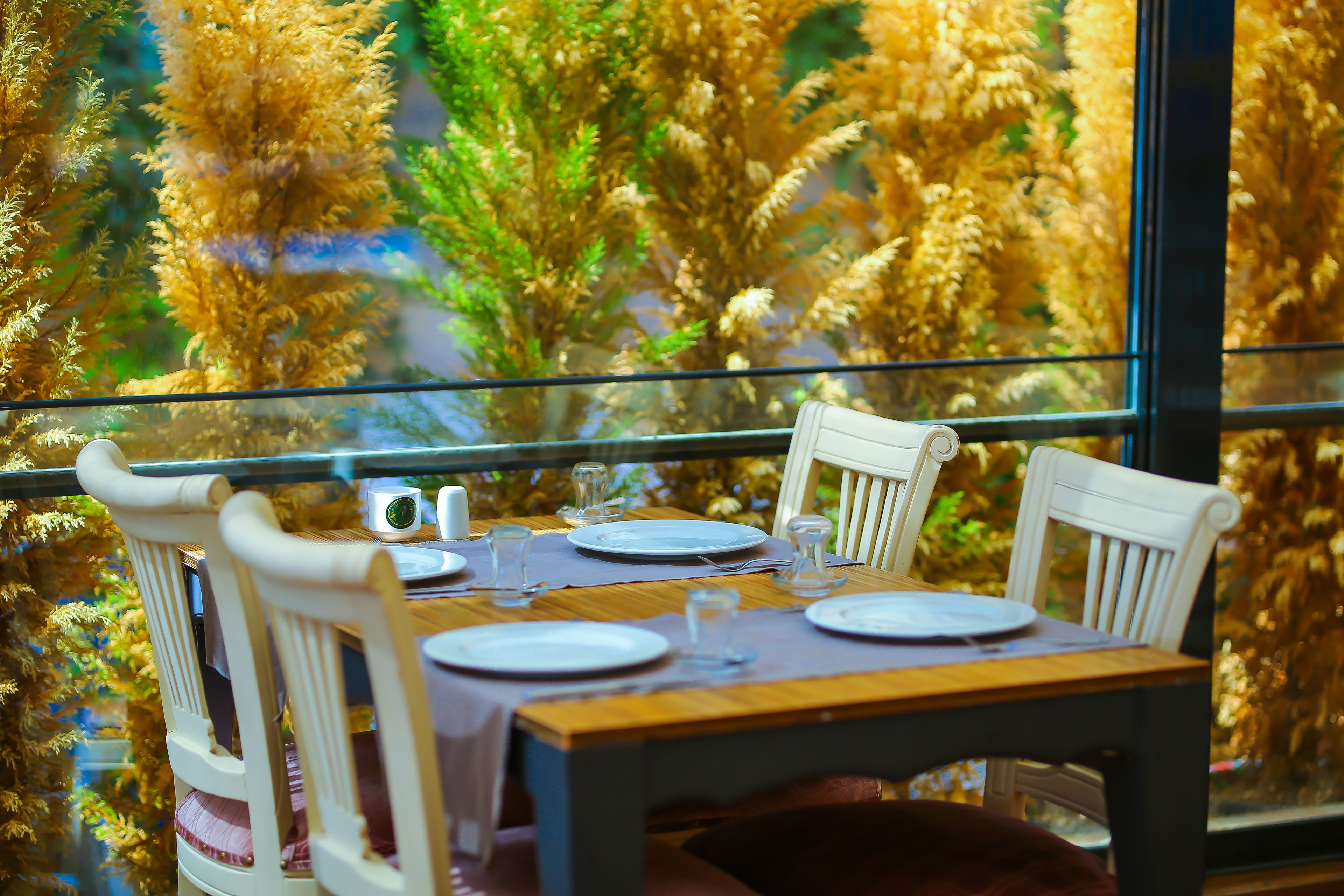 Mesa de jantar posta com pratos, copos e talheres, com vista para plantas altas e douradas através de uma janela.