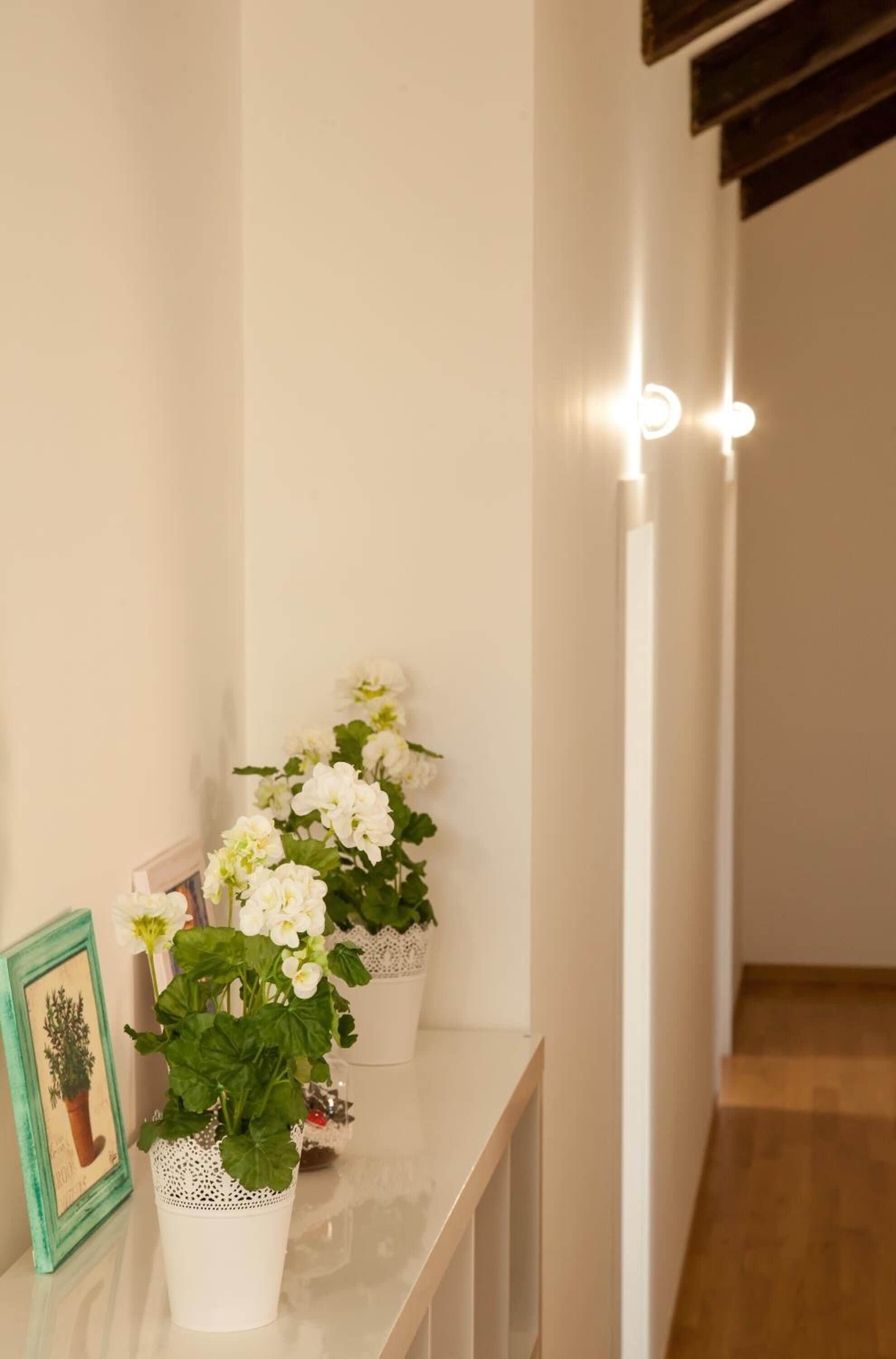 Foto - Caesar Napoli