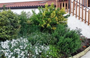 A garden with various plants and flowers in front of a building with a red-tiled roof and wooden steps. - Dal Rosso (San Floriano del Collio)