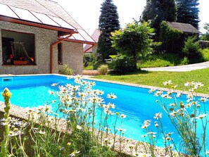 Outdoor pool - Penzion Bor (Nachod)