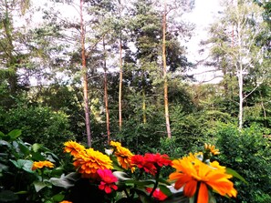 Vista desde la propiedad