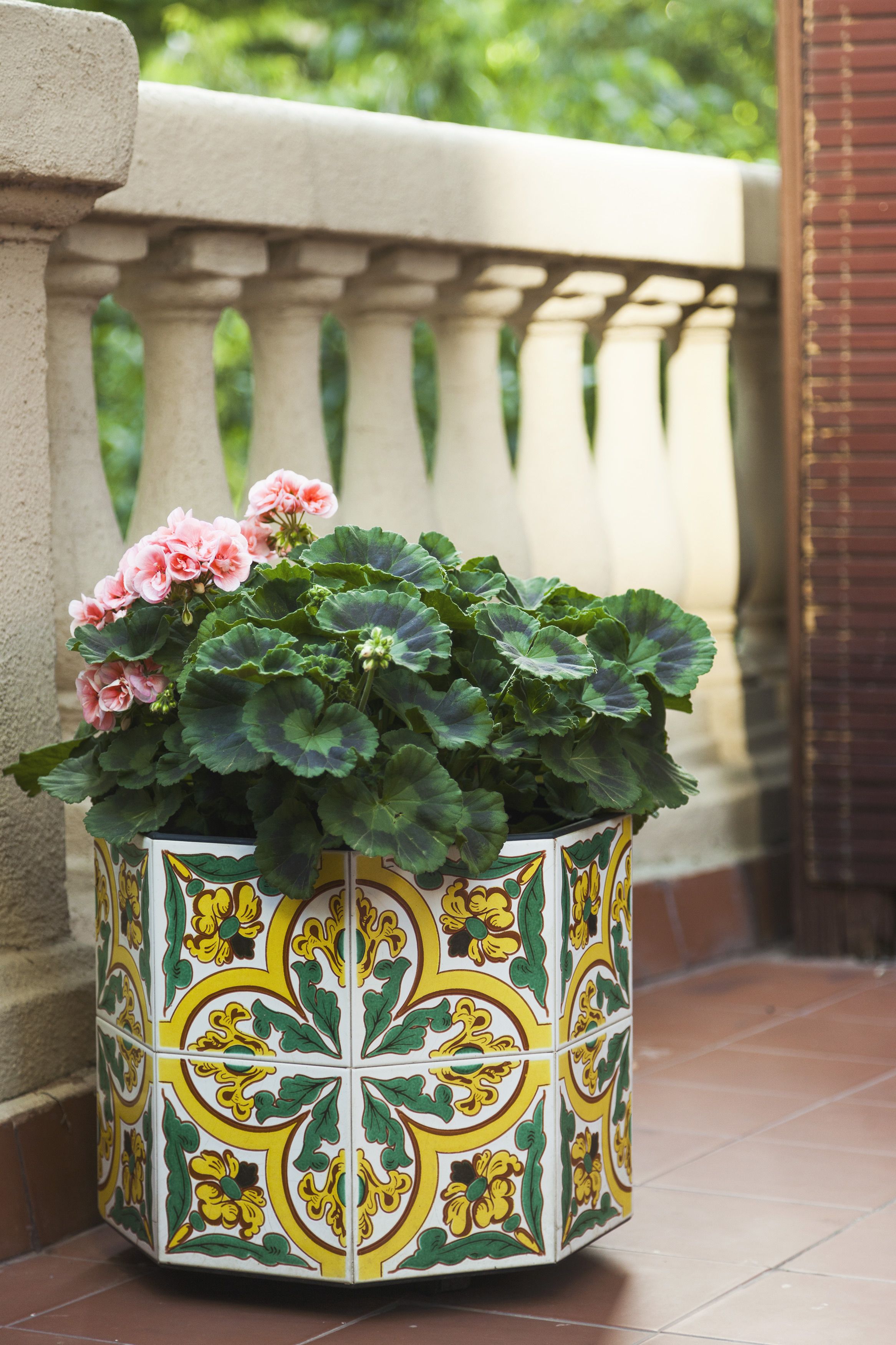 Foto - La Casa Gran B&B