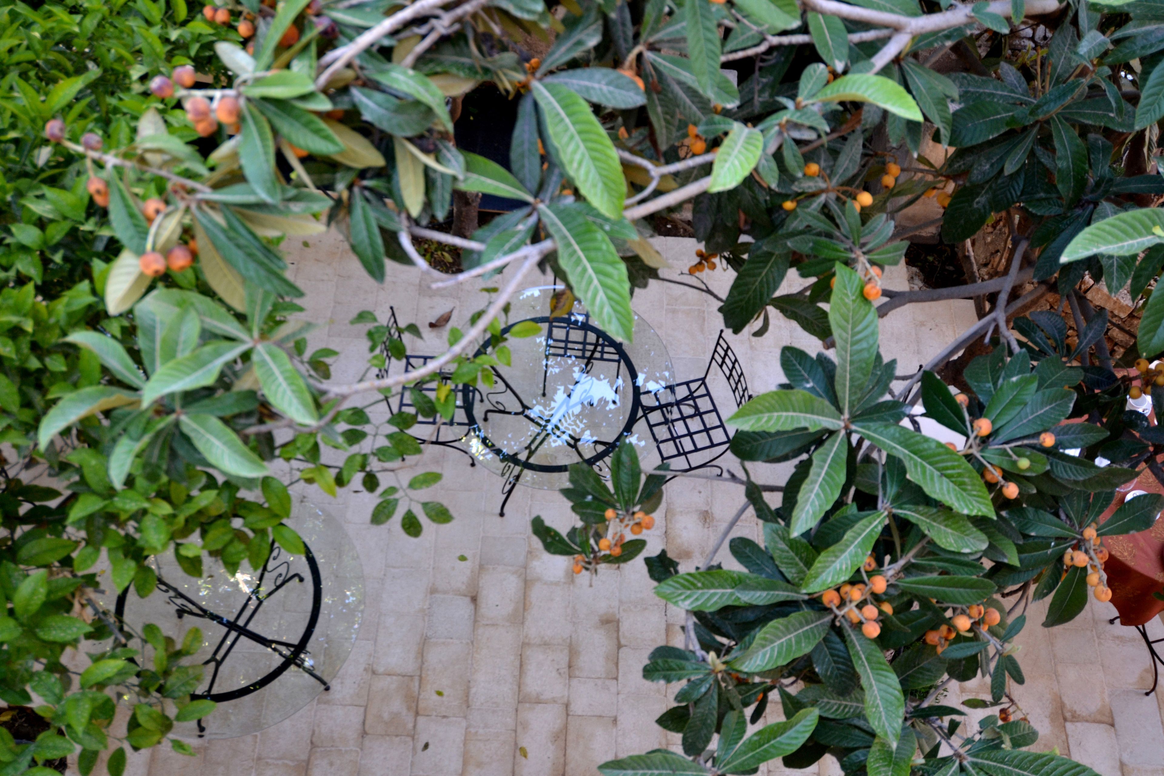 Foto - Gagliardi Boutique Hotel