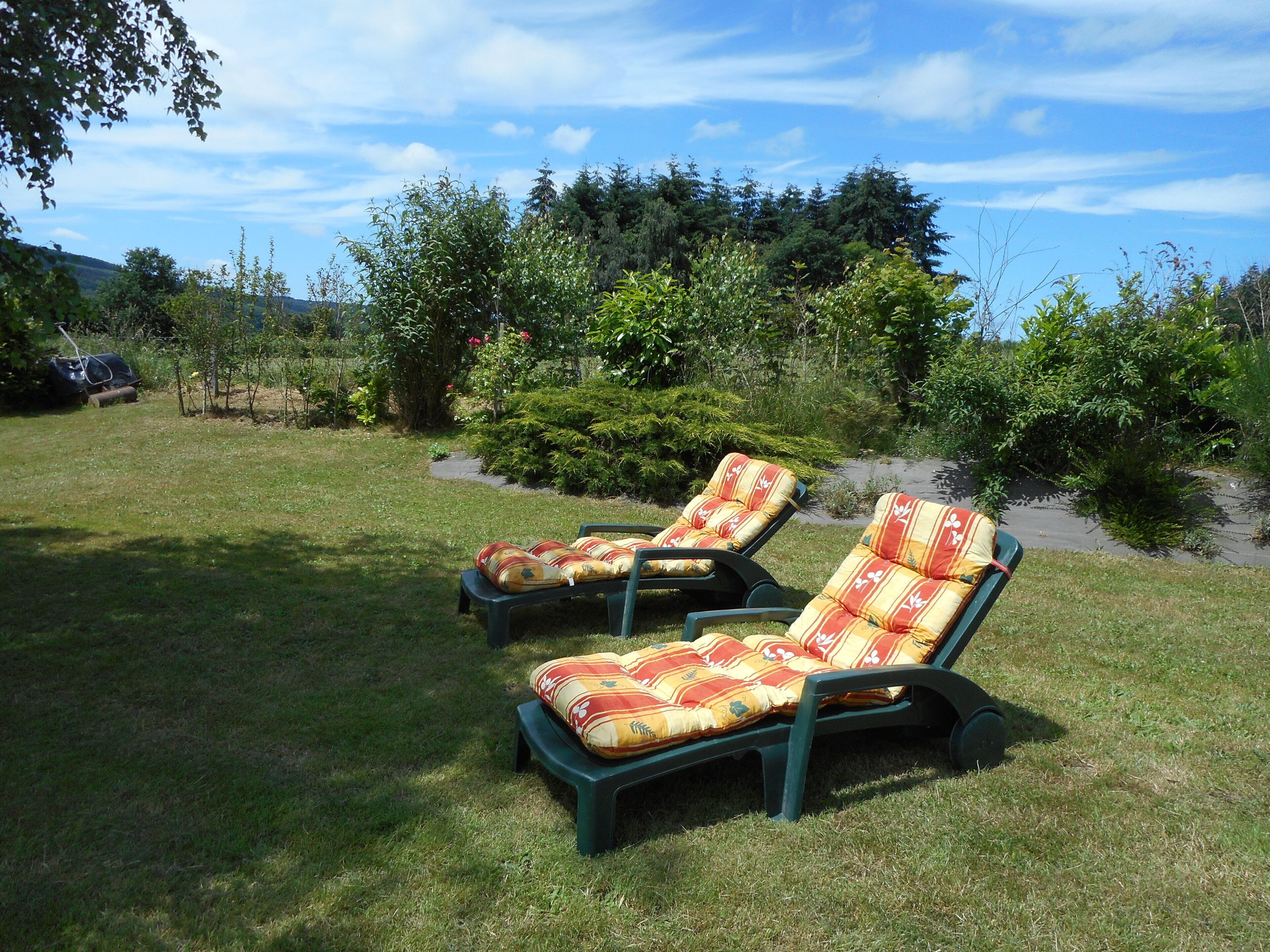 Dos sillones con cojines estampados en un espacio al aire libre con césped, árboles y arbustos al fondo.