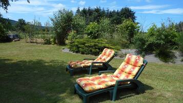 Dos sillones con cojines estampados en un espacio al aire libre con césped, árboles y arbustos al fondo.