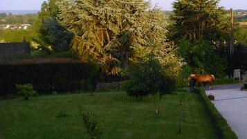 Jardín