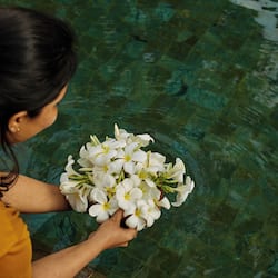 Couples treatment room(s), steam room, body treatments, aromatherapy