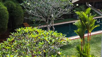 A lush garden with a variety of plants and a swimming pool.