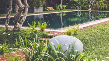 A garden with a pond, various plants, and a brick wall in the background.