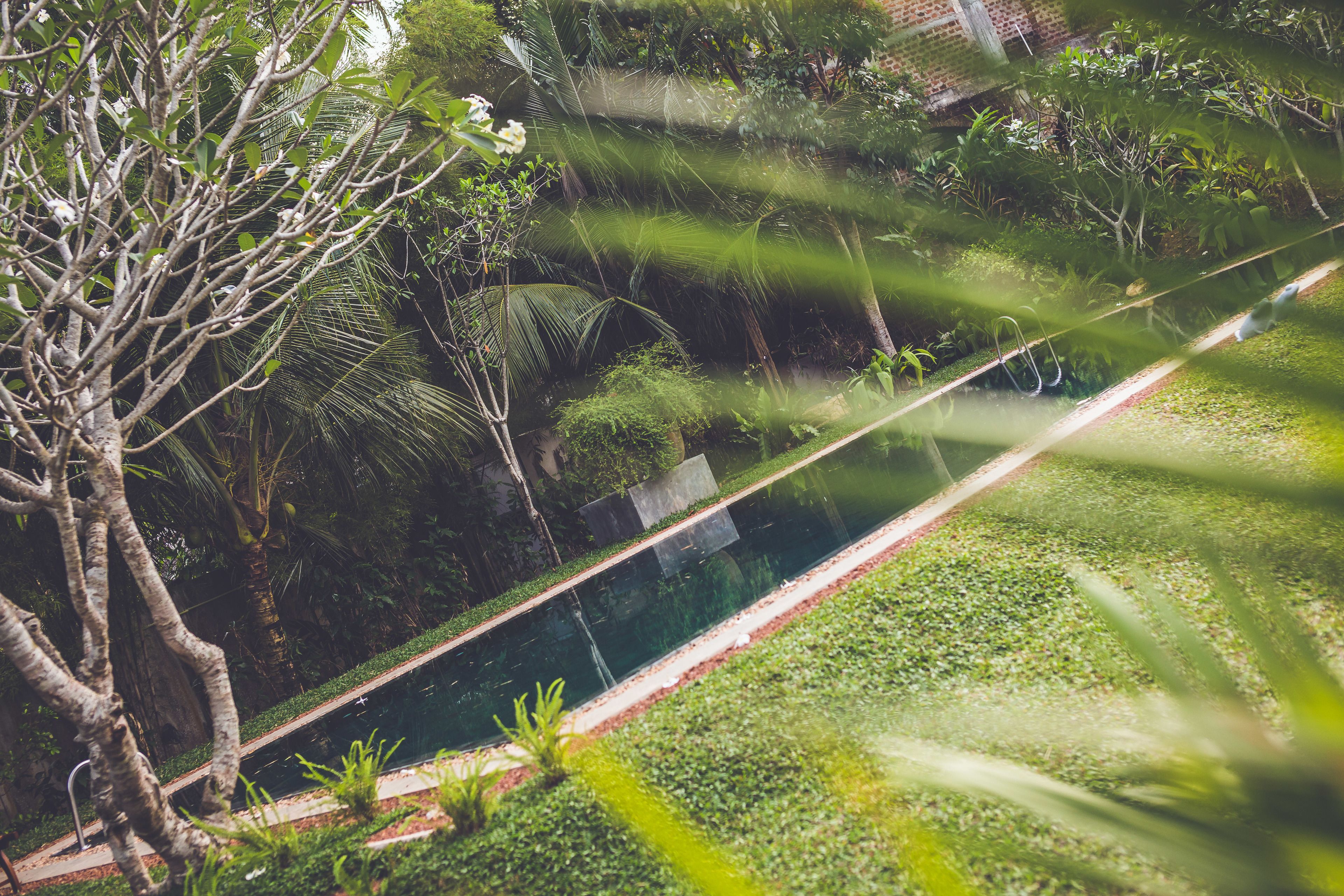 Un jardin luxuriant, avec une grande variété de plantes et un petit élément décoratif aquatique.