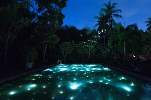 Una piscina al aire libre, sombrillas, sillones reclinables de piscina
