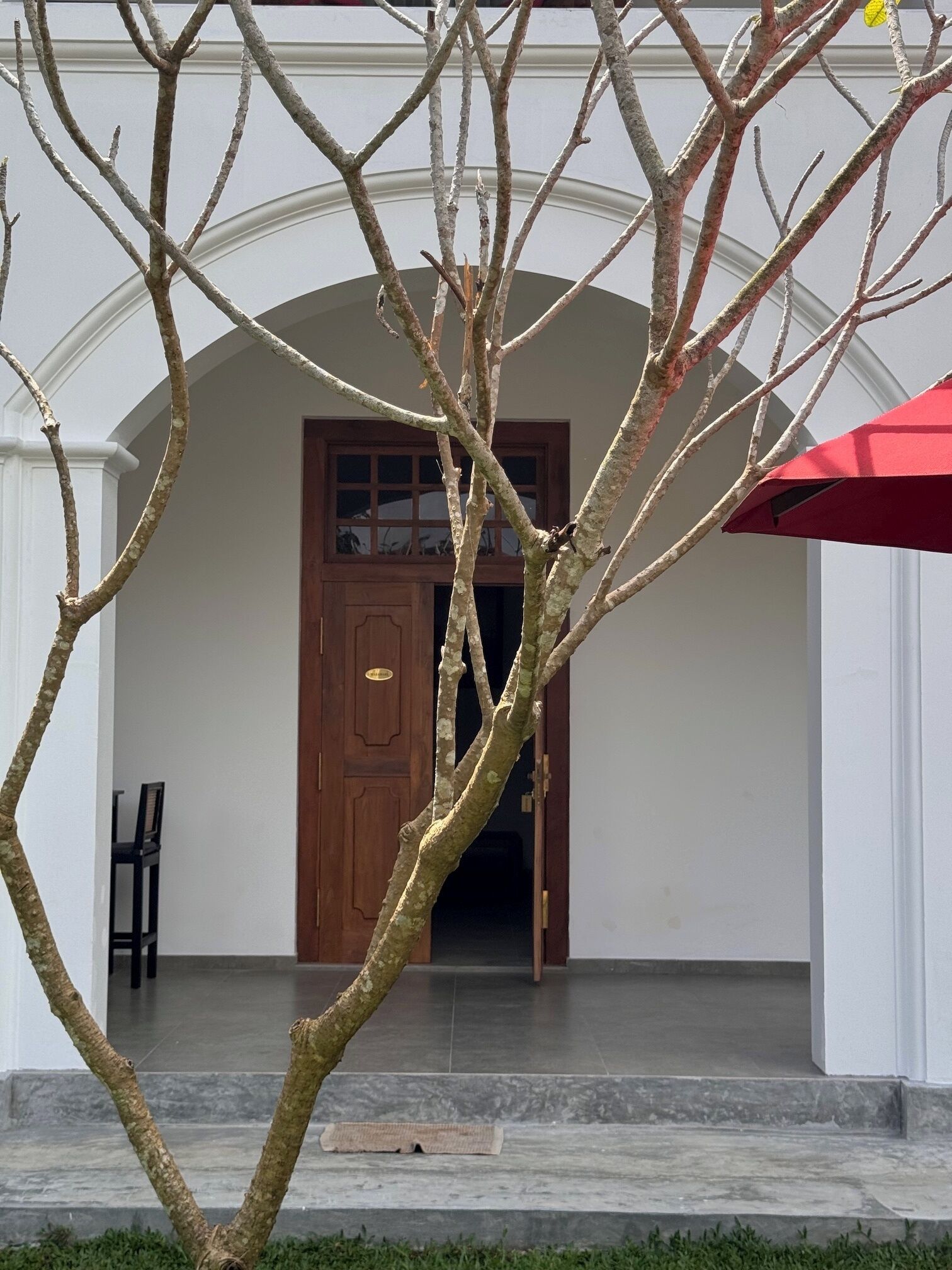 A building entrance with a wooden door, a red umbrella, and a tree in the foreground.