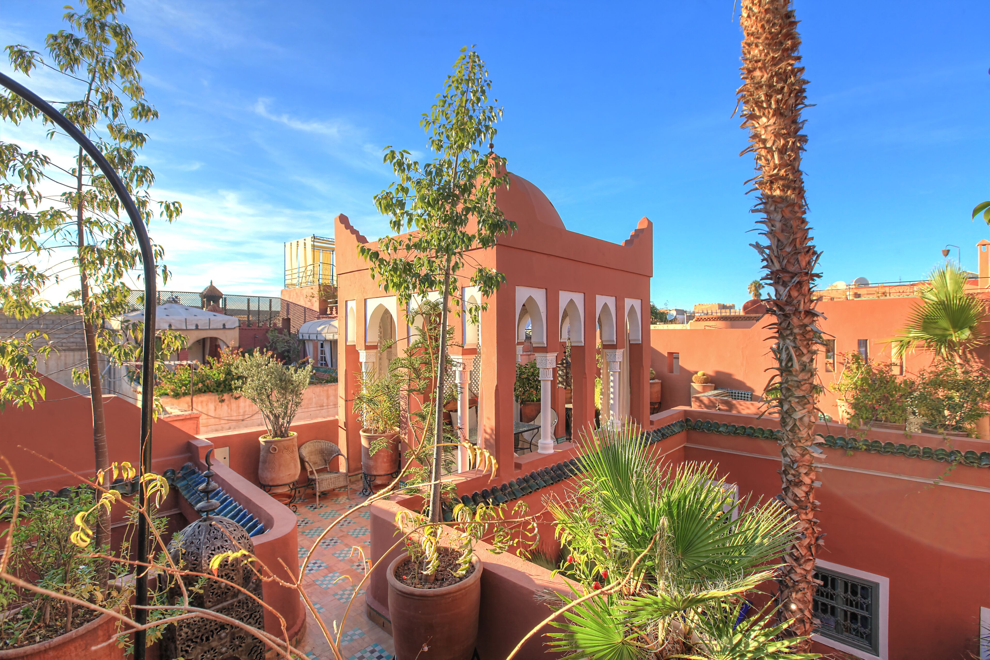 Un patio con una palmera, plantas en macetas y un edificio con arcos.