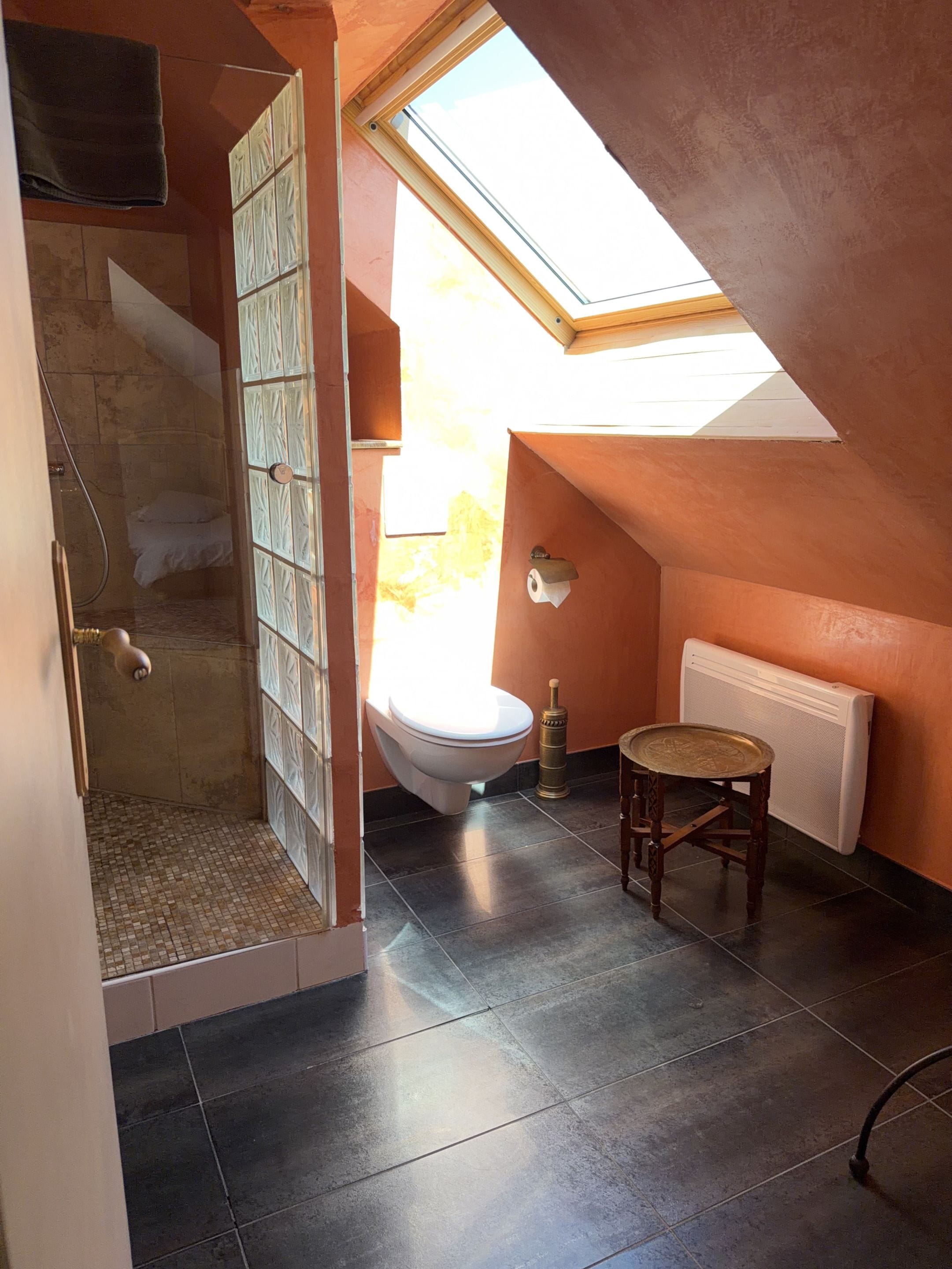 A small, compact bathroom with a skylight, a toilet, a shower, and a radiator.