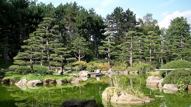A serene pond surrounded by neatly trimmed trees and rocks, reflecting the surrounding greenery. - Messezimmer4u Nordparksiedlung (Düsseldorf)